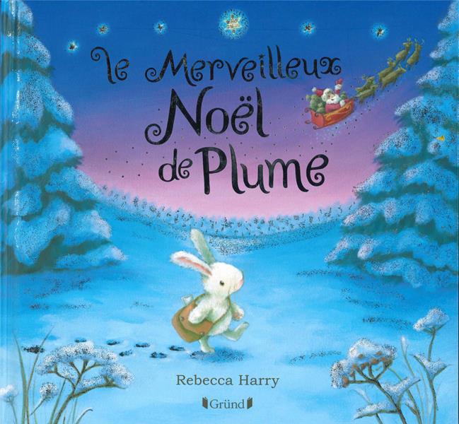 LE MERVEILLEUX NOEL DE PLUME (NE)