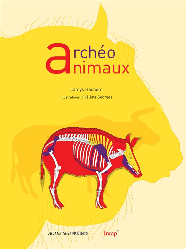 ARCHEO ANIMAUX - ILLUSTRATIONS, COULEUR