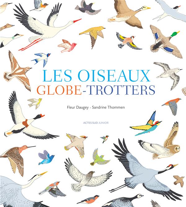 LES OISEAUX GLOBE-TROTTERS - ILLUSTRATIONS, COULEUR