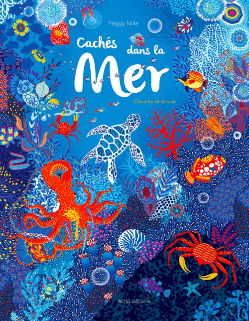 CACHES DANS LA MER - CHERCHE ET TROUVE