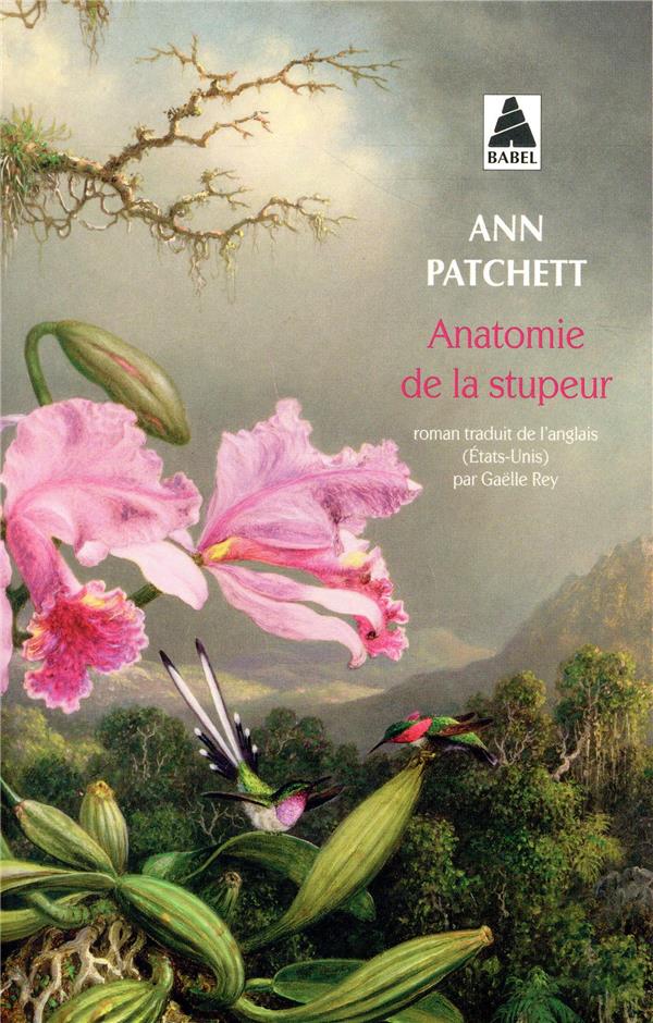 ANATOMIE DE LA STUPEUR