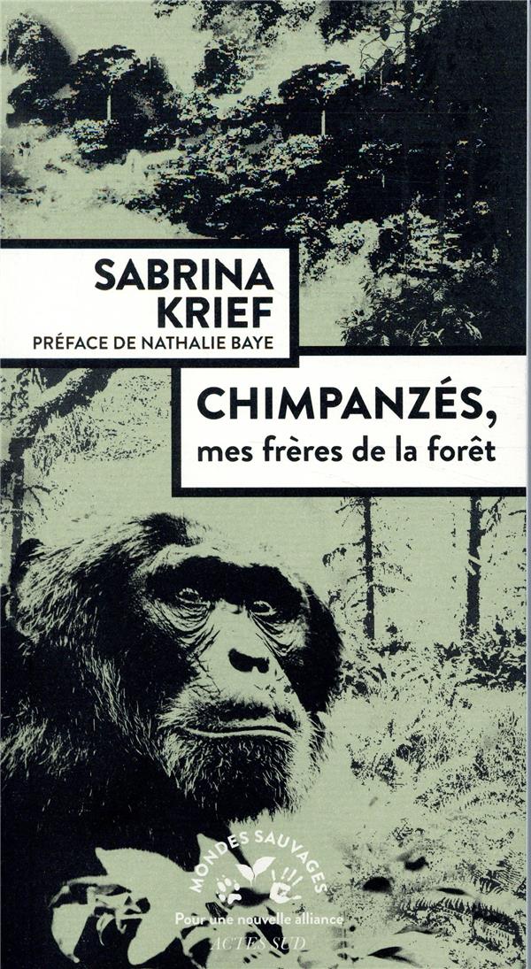 CHIMPANZES, MES FRERES DE LA FORET - ILLUSTRATIONS, NOIR ET BLANC