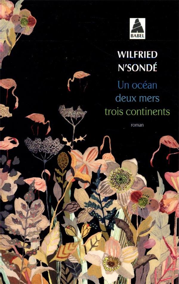 UN OCEAN, DEUX MERS, TROIS CONTINENTS