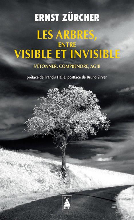 LES ARBRES, ENTRE VISIBLE ET INVISIBLE - S'ETONNER, COMPRENDRE, AGIR - ILLUSTRATIONS, NOIR ET BLANC