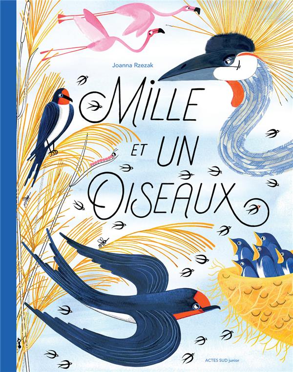 MILLE ET UN OISEAUX