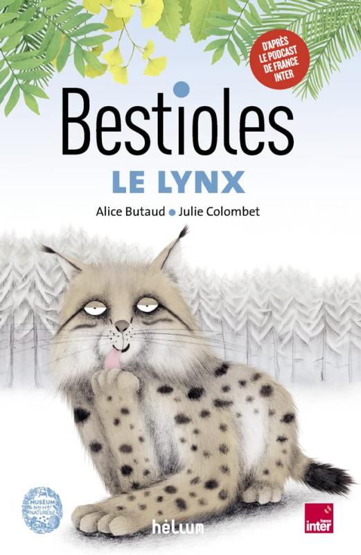 BESTIOLES - LE LYNX