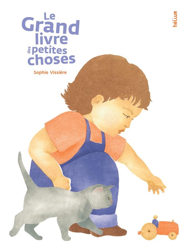 LE GRAND LIVRE DES PETITES CHOSES