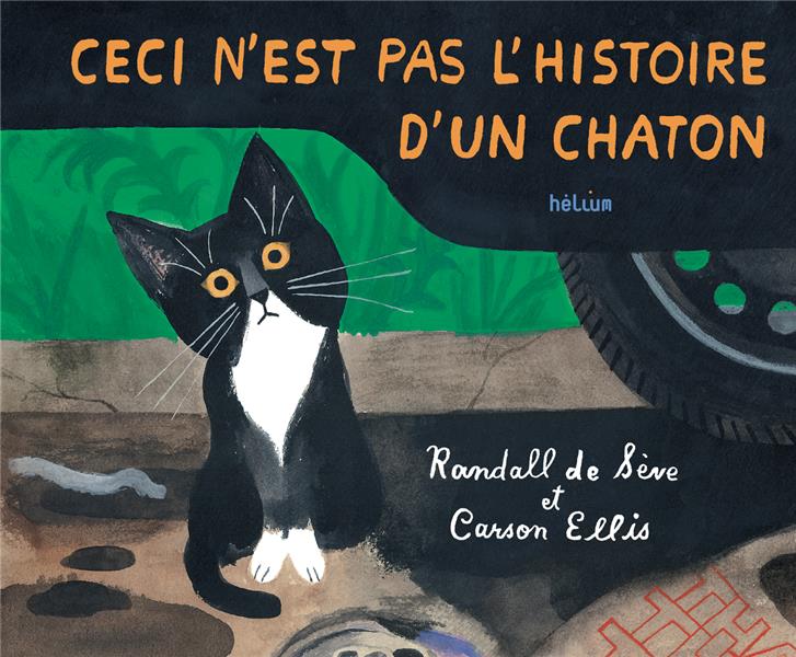 CECI N'EST PAS L'HISTOIRE D'UN CHATON