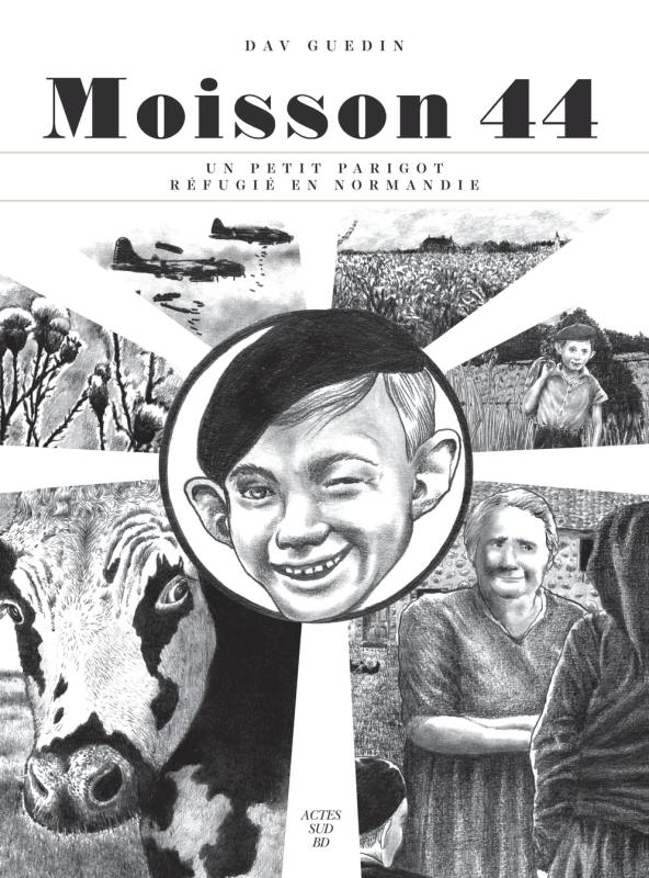 MOISSON 44 - UN PETIT PARIGOT REFUGIE EN NORMANDIE