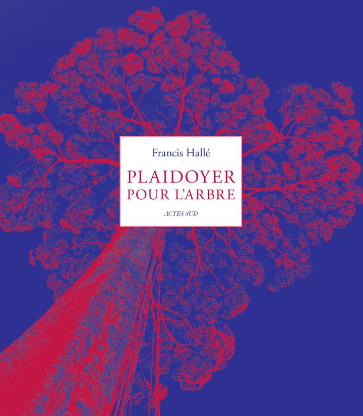 PLAIDOYER POUR L'ARBRE