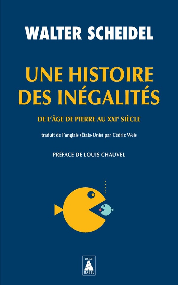 UNE HISTOIRE DES INEGALITES - DE L'AGE DE PIERRE AU XXIE SIECLE - ILLUSTRATIONS, NOIR ET BLANC