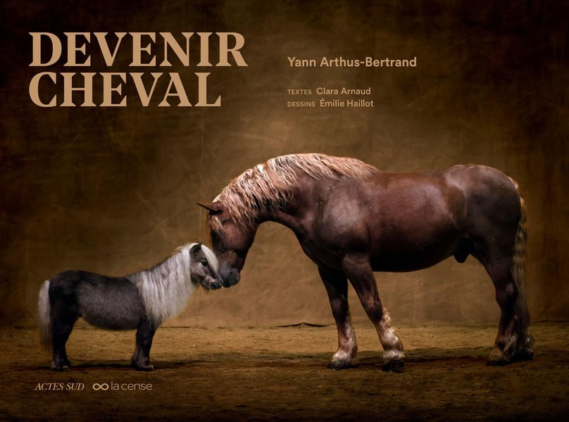 DEVENIR CHEVAL