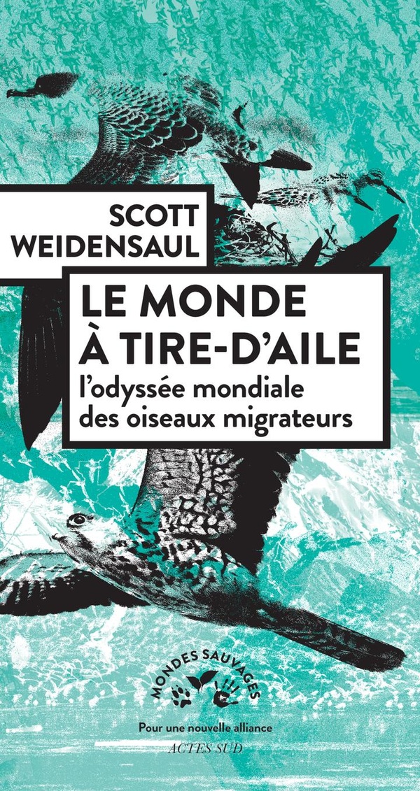 LE MONDE A TIRE-D'AILE - L'ODYSSEE MONDIALE DES OISEAUX MIGRATEURS