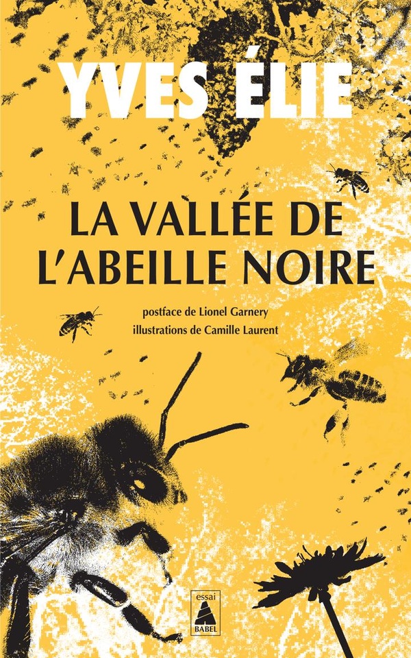 LA VALLEE DE L'ABEILLE NOIRE - ILLUSTRATIONS, NOIR ET BLANC