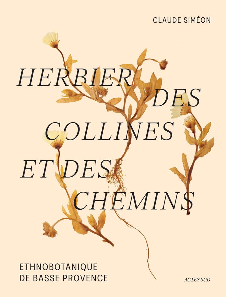 HERBIER DES COLLINES ET DES CHEMINS - ETHNOBOTANIQUE DE BASSE PROVENCE