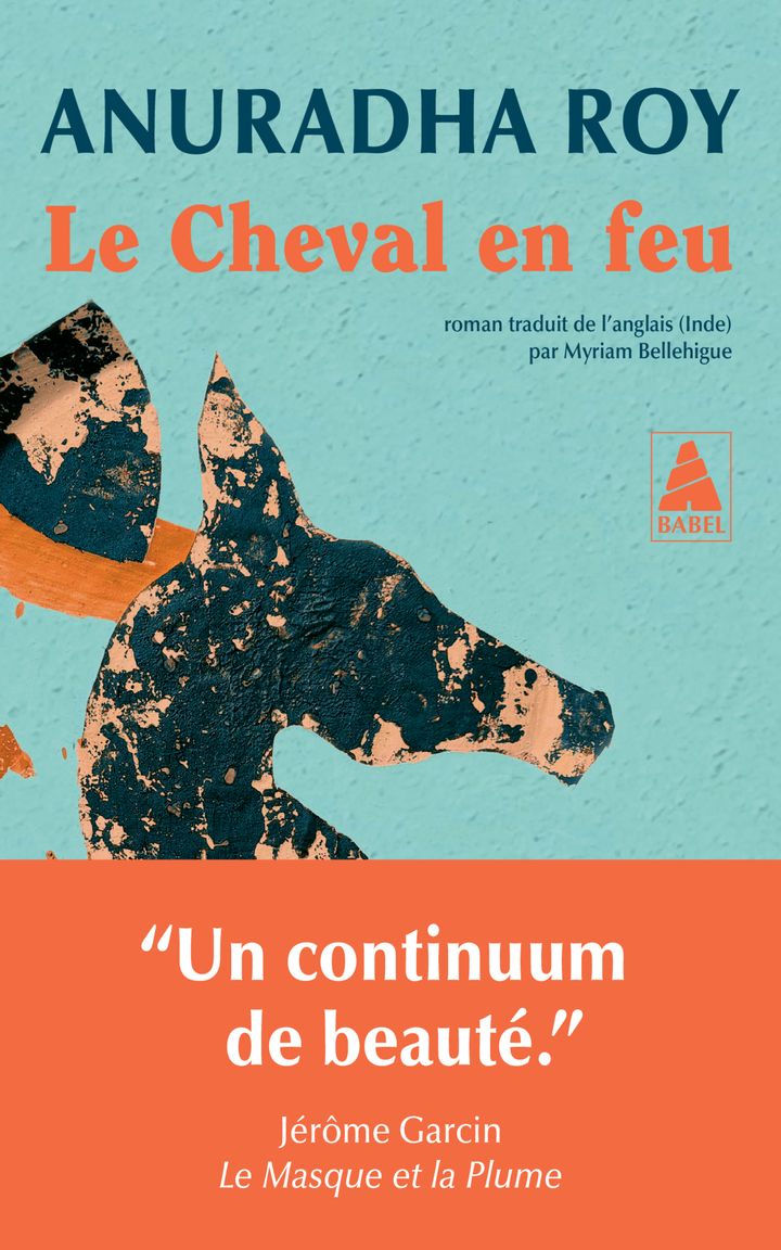 LE CHEVAL EN FEU