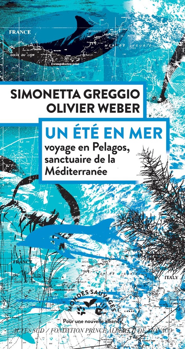 UN ETE EN MER - VOYAGE EN PELAGOS, SANCTUAIRE DE LA MEDITERRANEE