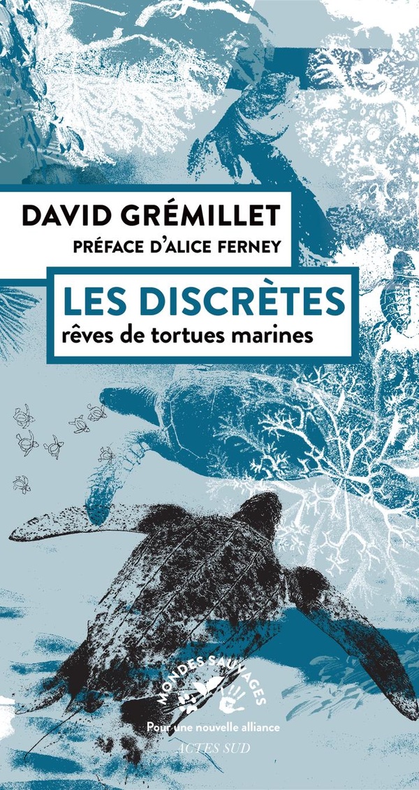 LES DISCRETES - REVES DE TORTUES MARINES