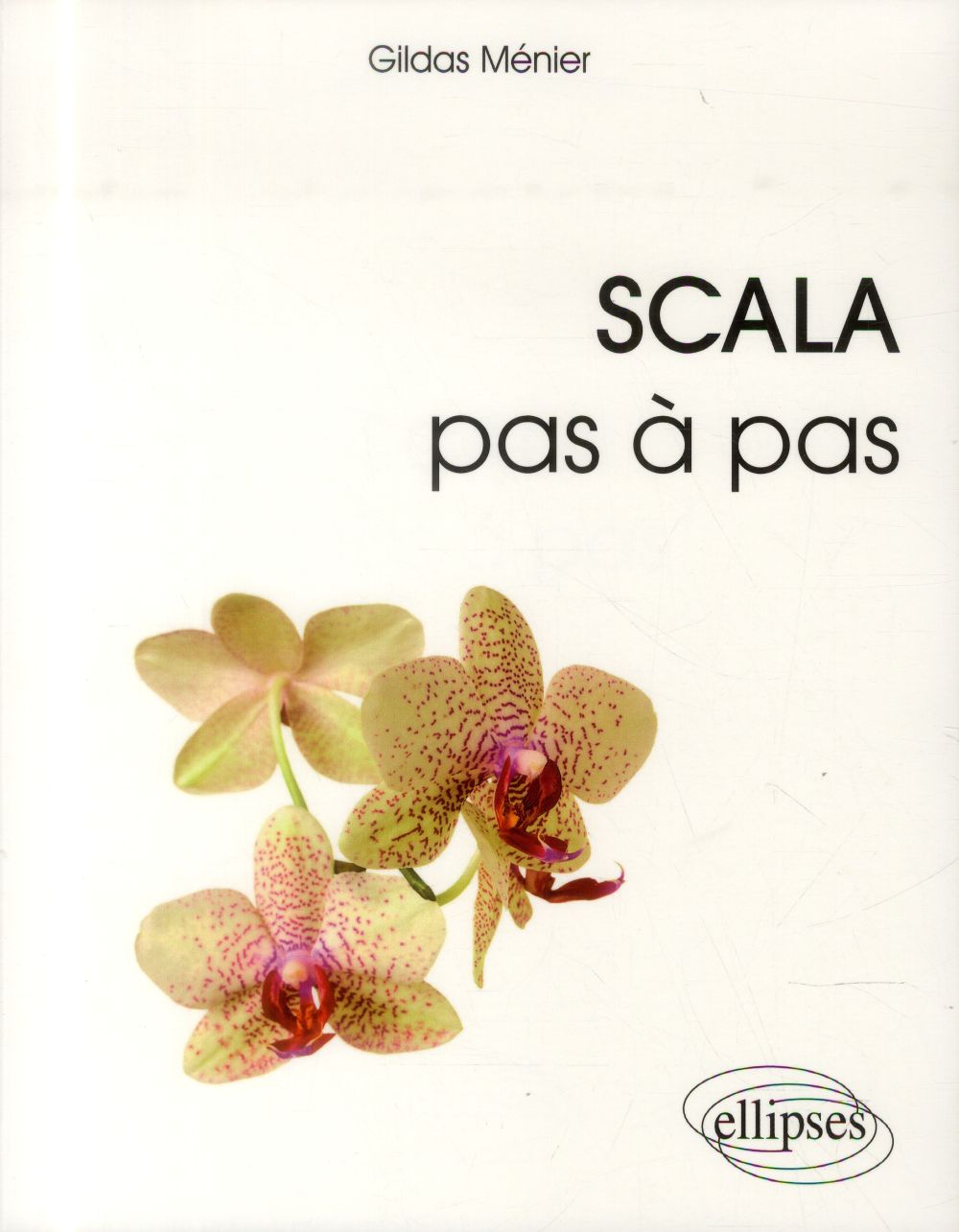 SCALA PAS A PAS