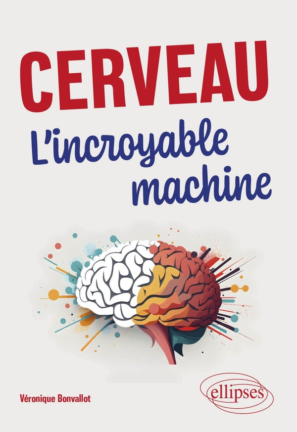 CERVEAU. LINCROYABLE MACHINE