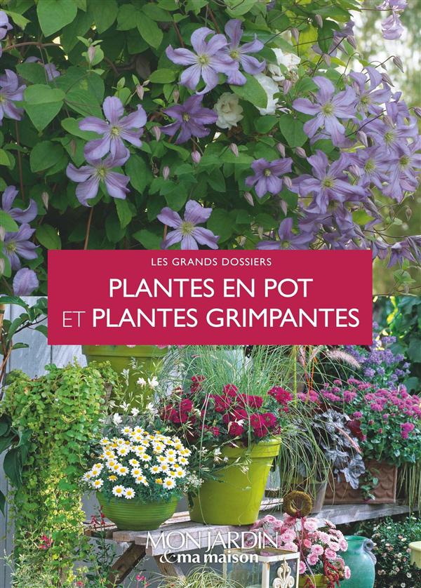 PLANTES EN POT ET PLANTES GRIMPANTES