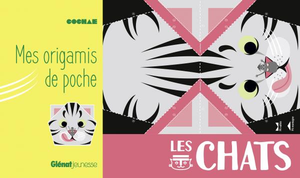 MES ORIGAMIS DE POCHE CHATS