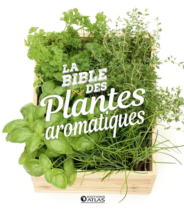 LA BIBLE DES PLANTES AROMATIQUES