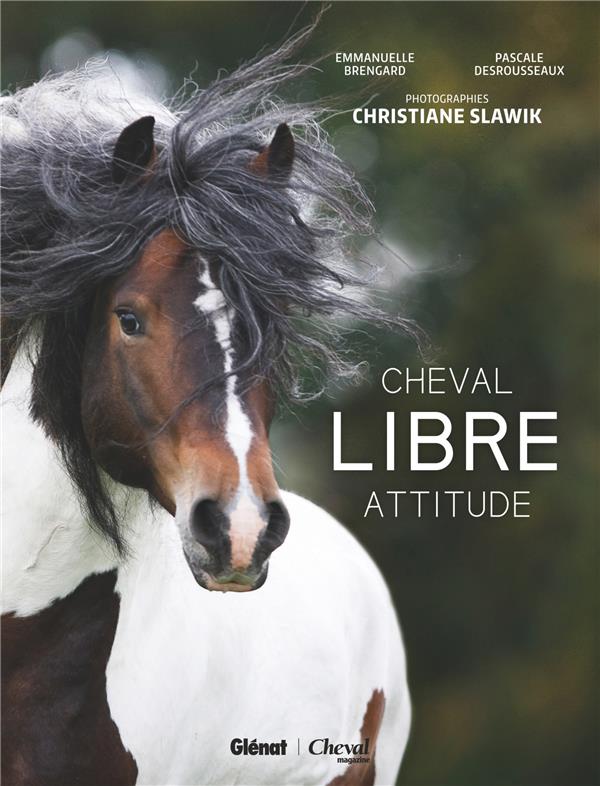 CHEVAL LIBRE ATTITUDE - PAR CHRISTIANE SLAWIK