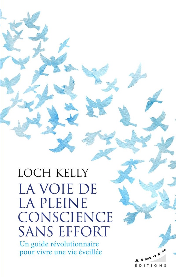 LA VOIE DE LA PLEINE CONSCIENCE SANS EFFORT - UN GUIDE REVOLUTIONNAIRE POUR VIVRE UNE VIE EVEILLEE
