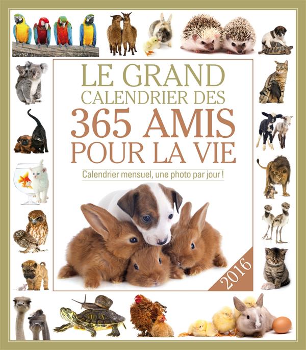 LE GRAND CALENDRIER DES AMIS POUR LA VIE 2016