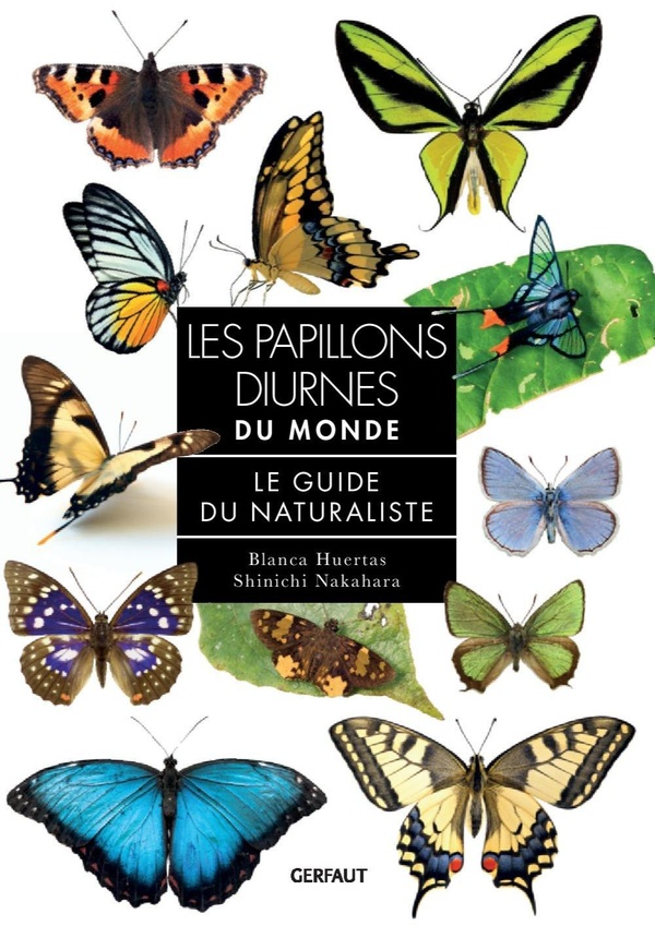 LES PAPILLONS DIURNES DU MONDE
