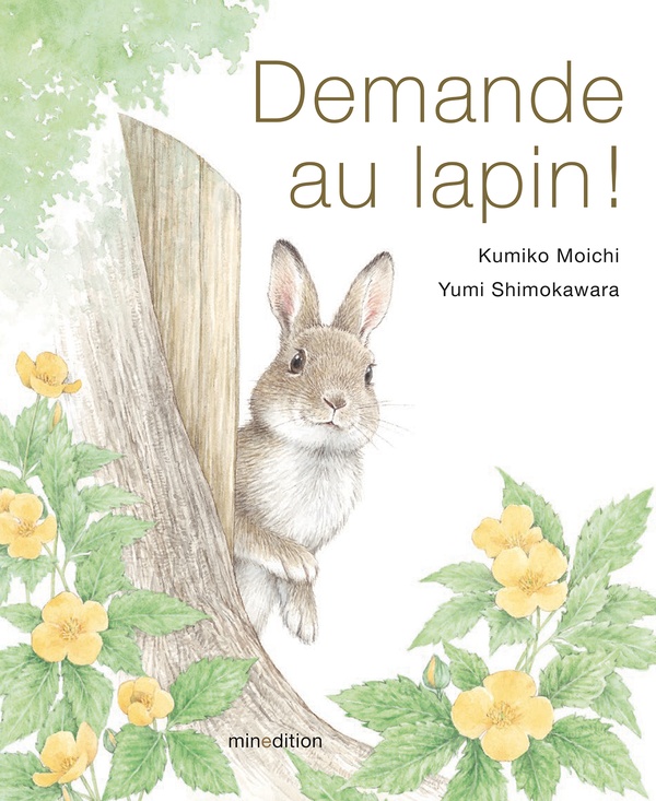 DEMANDE AU LAPIN !