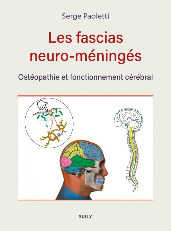 LES FASCIAS NEURO-MENINGES - OSTEOPATHIE ET FONCTIONNEMENT CEREBRAL