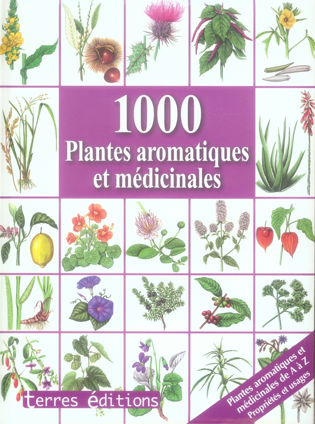 1000 PLANTES AROMATIQUES ET MEDICINALES