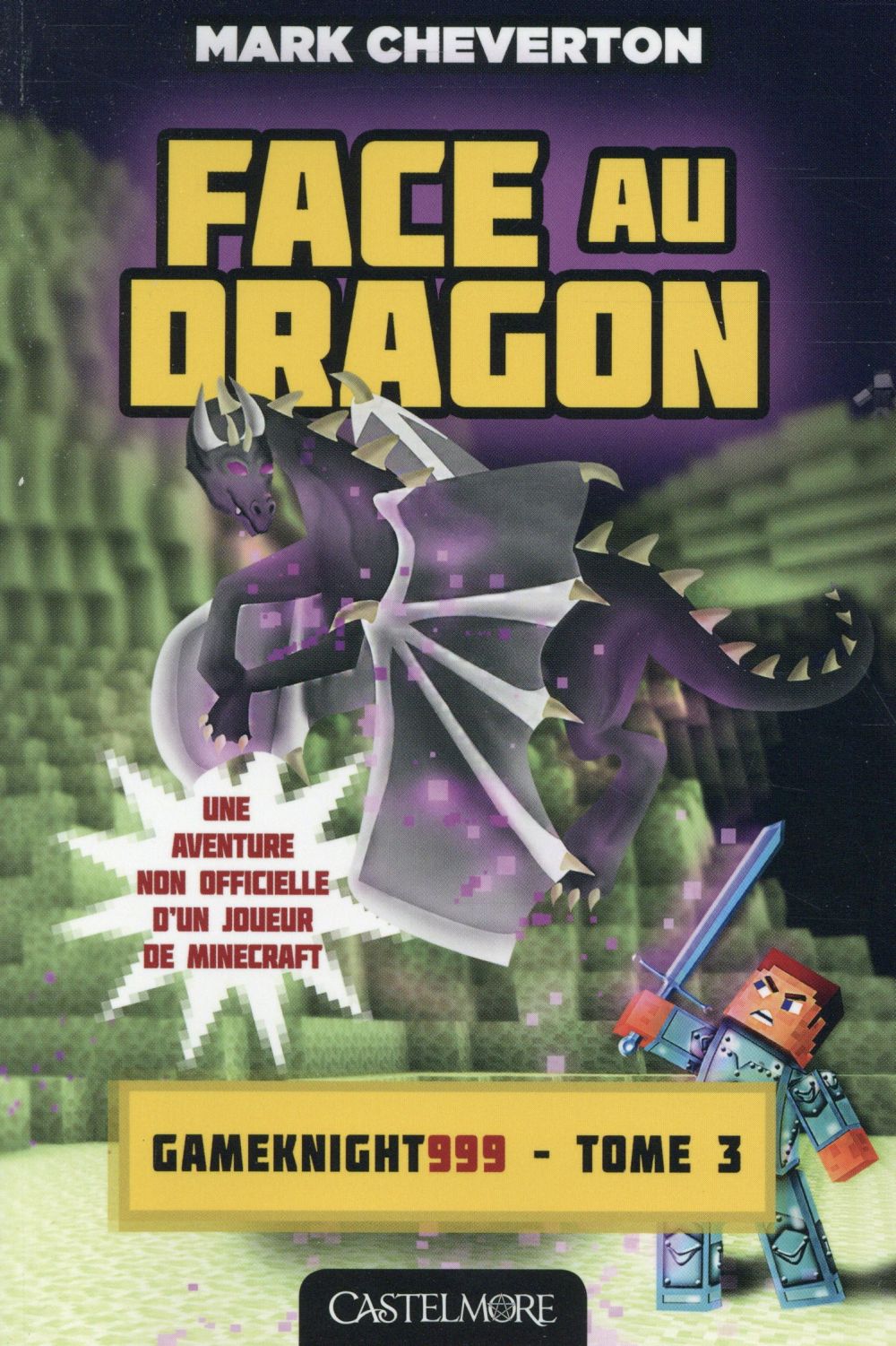 MINECRAFT - LES AVENTURES DE GAMEKNIGHT999, T3 : FACE AU DRAGON