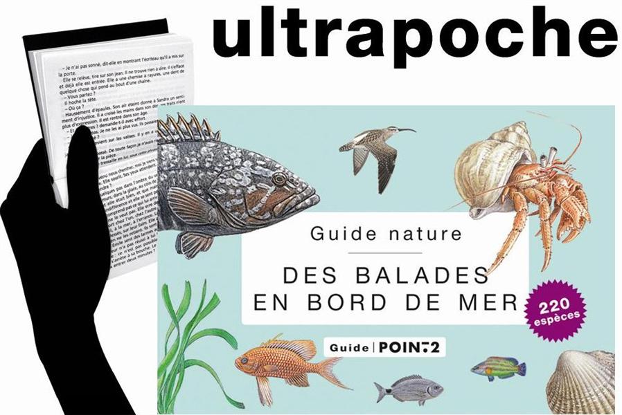 GUIDE NATURE DES BALADES EN BORD DE MER
