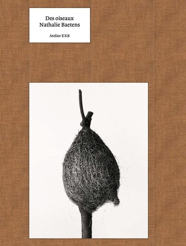 DES OISEAUX - NATHALIE BAETENS