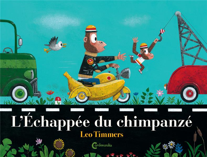 L'ECHAPPEE DU CHIMPANZE