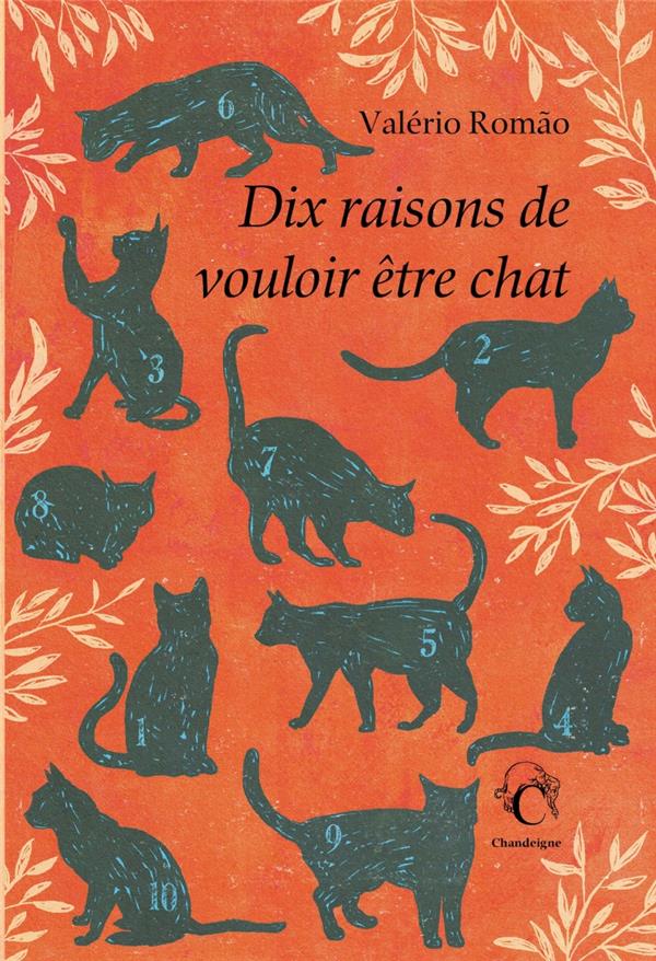 DIX RAISONS DE VOULOIR ETRE CHAT