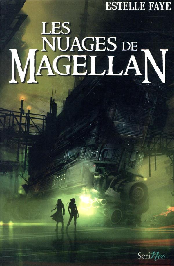 LES NUAGES DE MAGELLAN