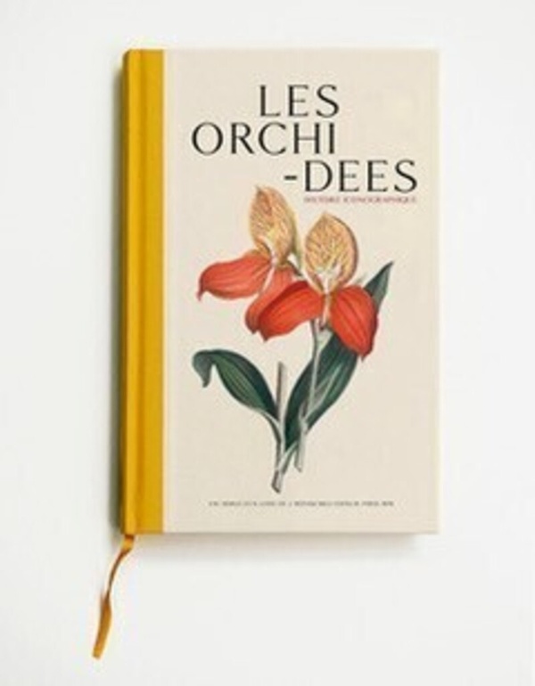 LES ORCHIDEES