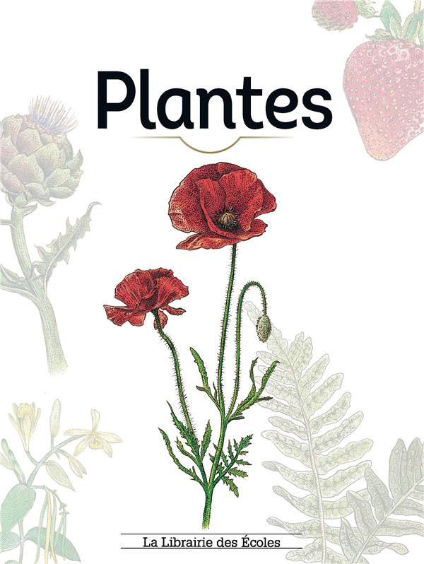 PLANTES