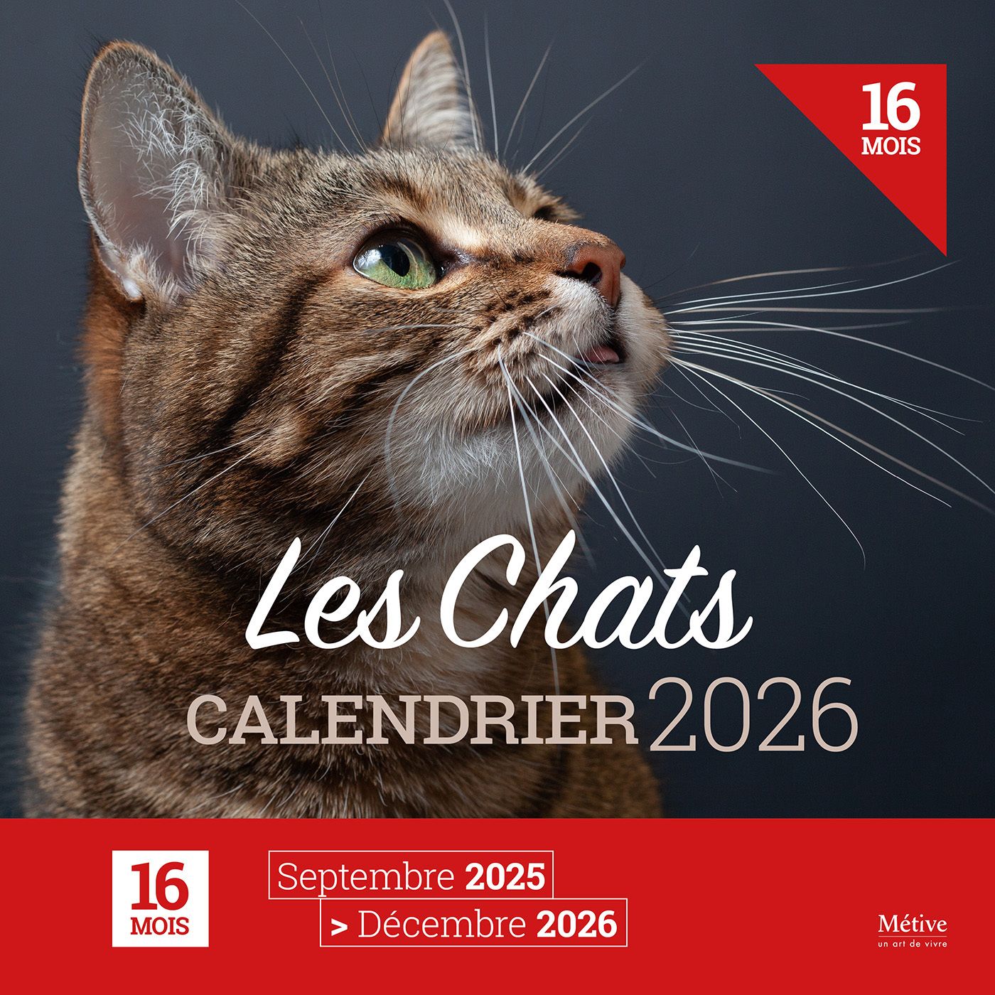 LES CHATS - CALENDRIER 2026