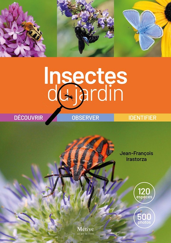 LES INSECTES DU JARDIN - DECOUVRIR, OBSERVER, IDENTIFIER