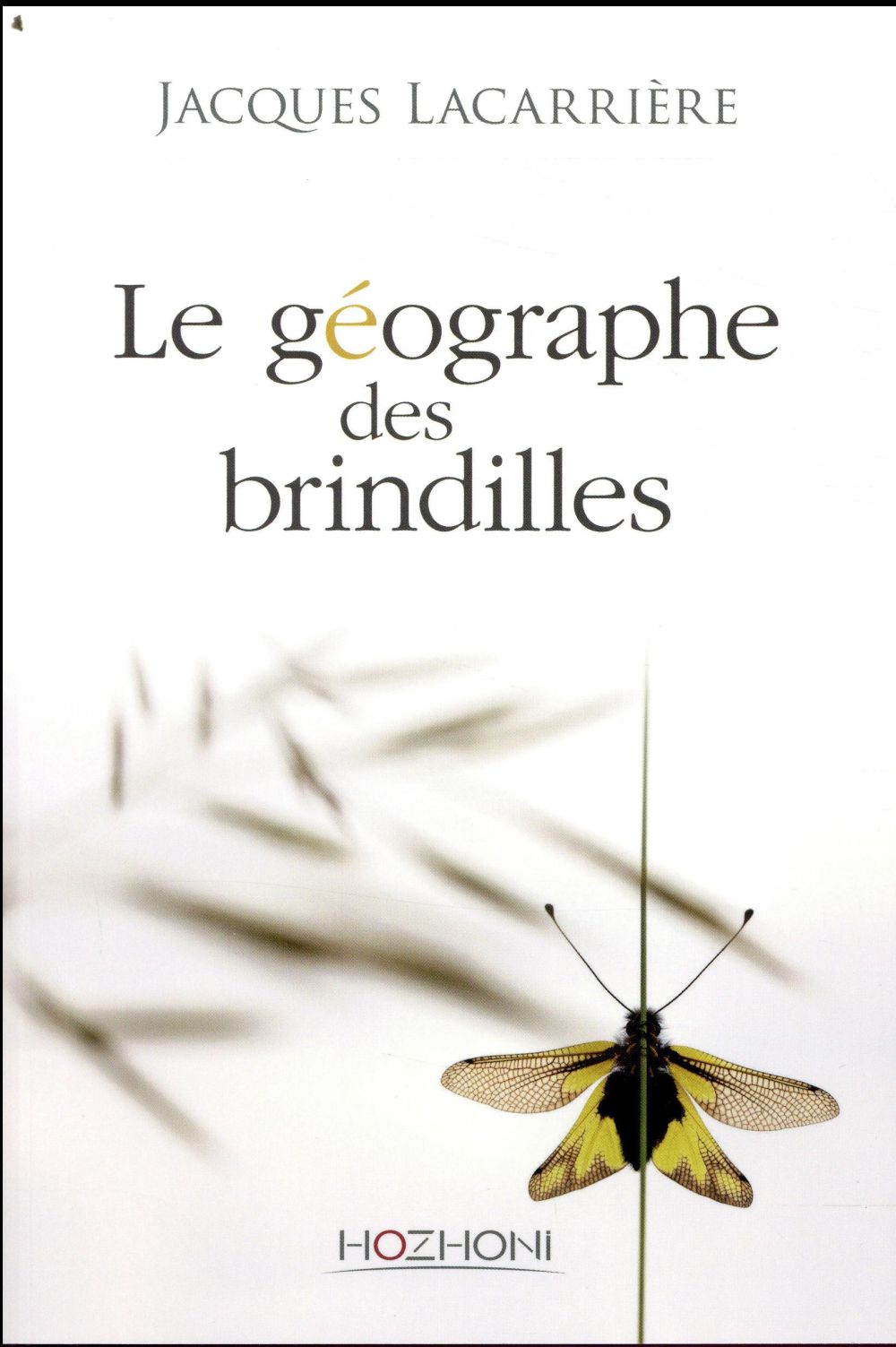 LE GEOGRAPHE DES BRINDILLES