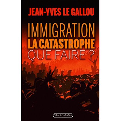 IMMIGRATION : LA CATASTROPHE - QUE FAIRE?