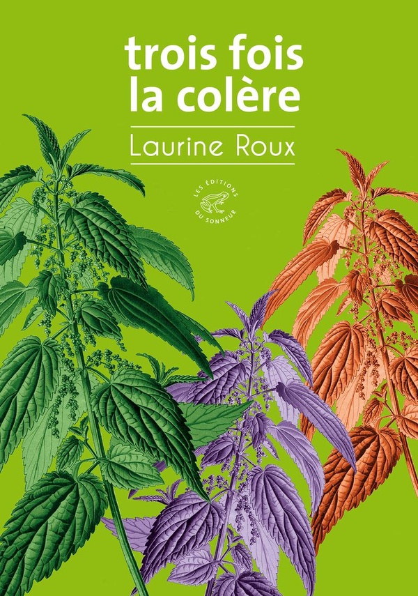 TROIS FOIS LA COLERE (TITRE PROVISOIRE)