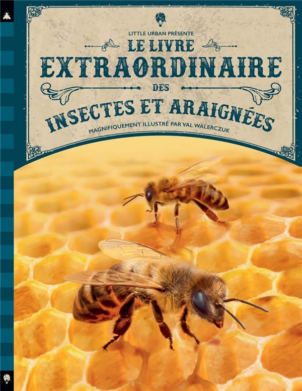 LE LIVRE EXTRAORDINAIRE DES INSECTES ET ARAIGNEES