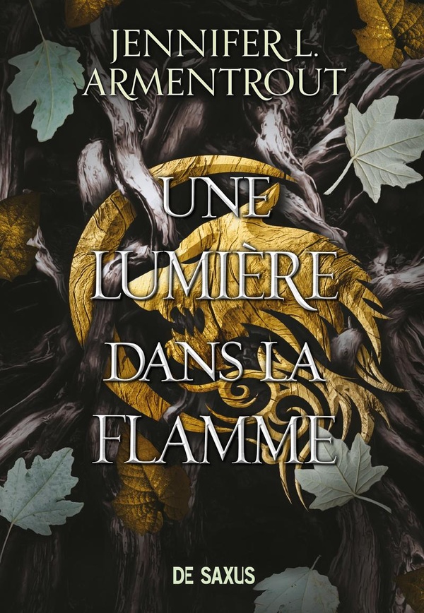 LA CHAIR ET LE FEU (BROCHE) - TOME 02 UNE LUMIERE DANS LA FLAMME