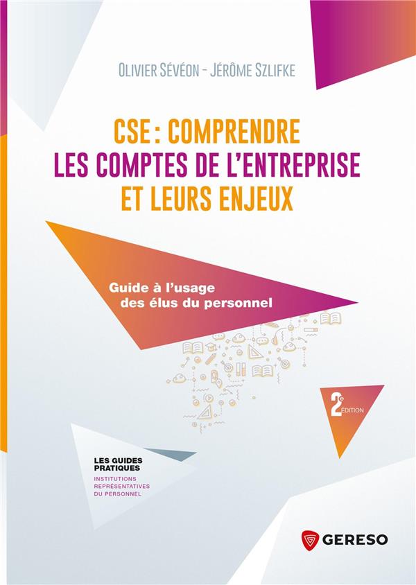 CSE : COMPRENDRE LES COMPTES DE L'ENTREPRISE ET LEURS ENJEUX - GUIDE A L'USAGE DES ELUS DU PERSONNEL